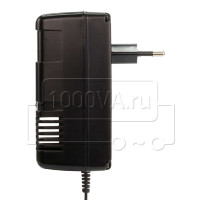 ANSMANN ALCS 2-24A