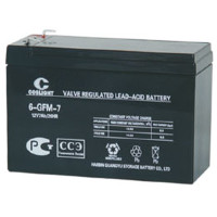 COSLIGHT 6-GFM-7,0