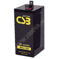 CSB MSJ 300