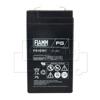 FIAMM FG 10381