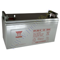 Yuasa NPL100-12
