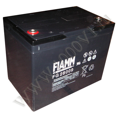 FIAMM FG 28009