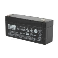 FIAMM FG 10301