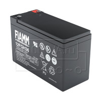 FIAMM 12FGH36 (FGH20902)