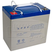 APSU NP 12-55